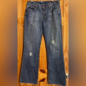 X2 Denim Laboratory by Express jeans